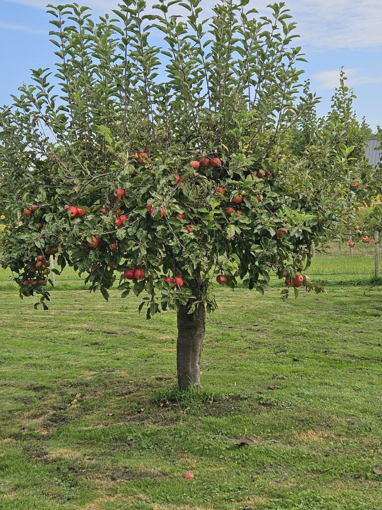 etappe 8  betuweroute