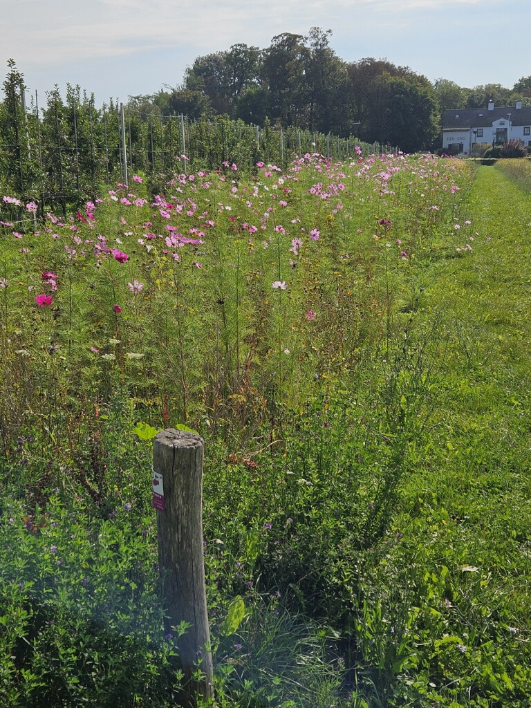 etappe 8  betuweroute