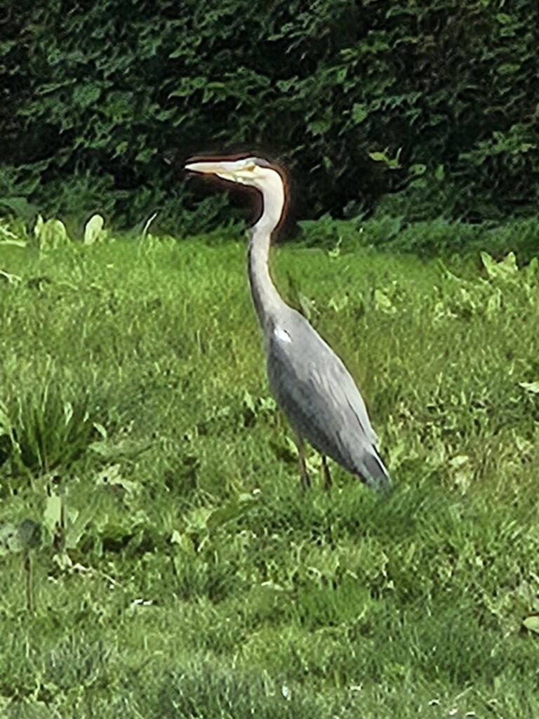 etappe 8  betuweroute