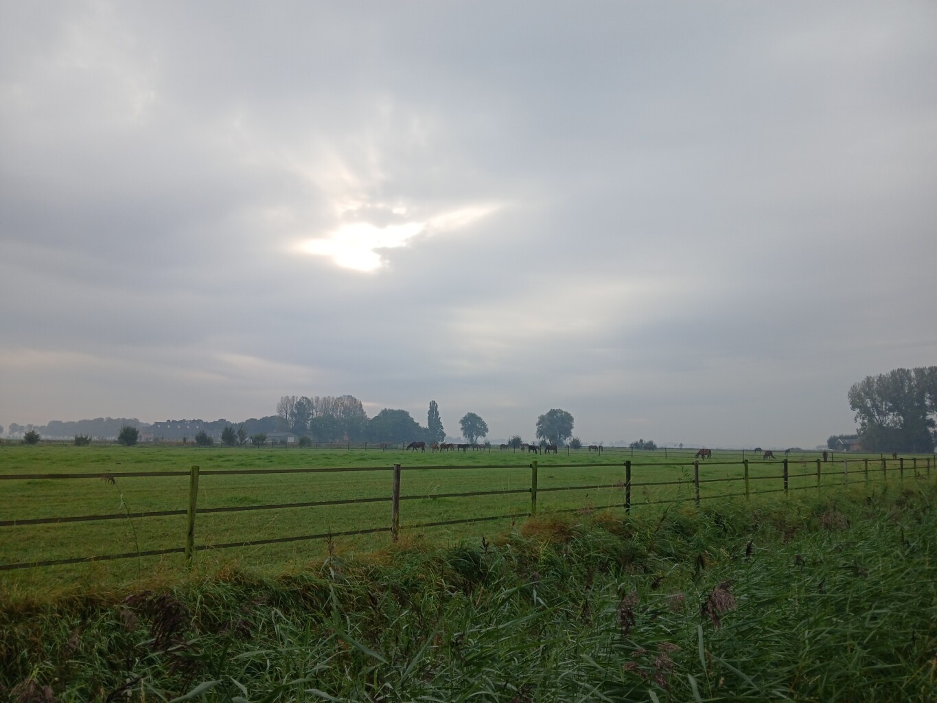 Eenrum - Warffum · Groninger Borgenpad etappe 7