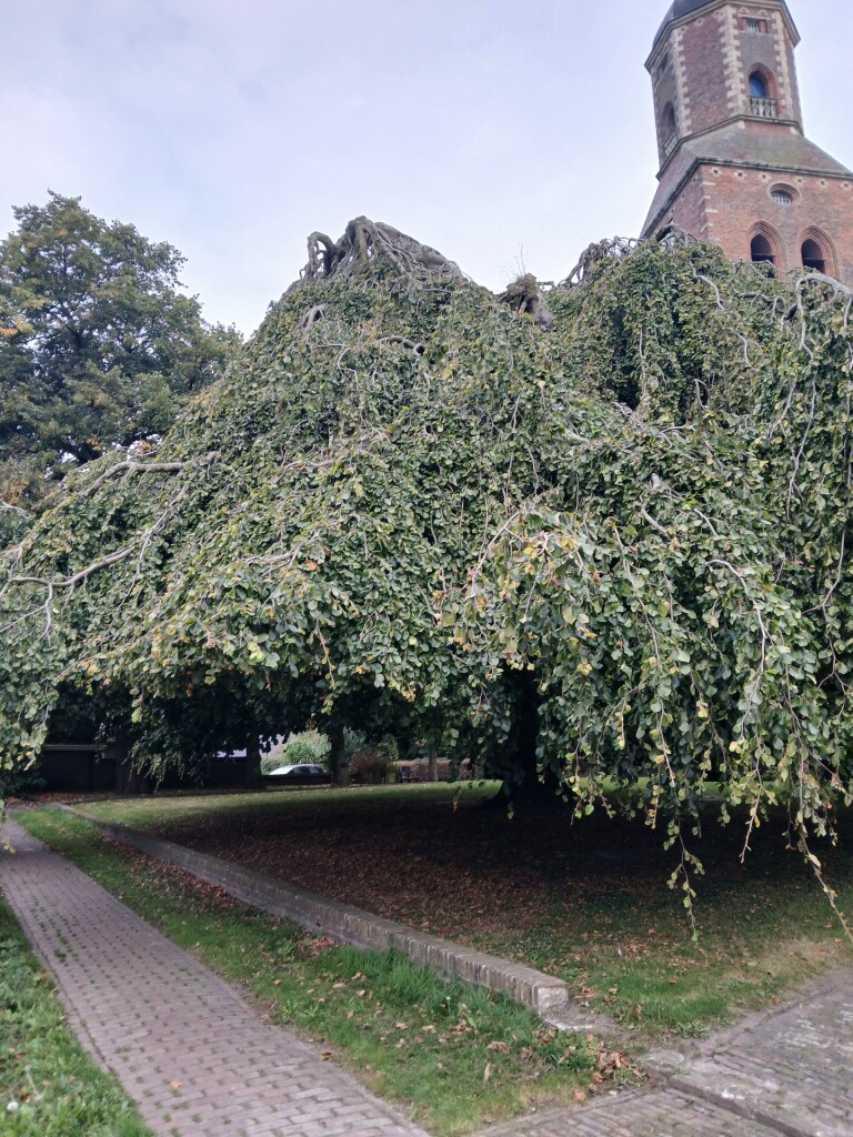 Eenrum - Warffum · Groninger Borgenpad etappe 7