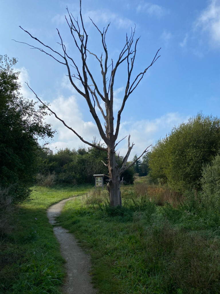 Hubroute Zuidwolde: tussen Zuidwolde en Klein Zwitserland