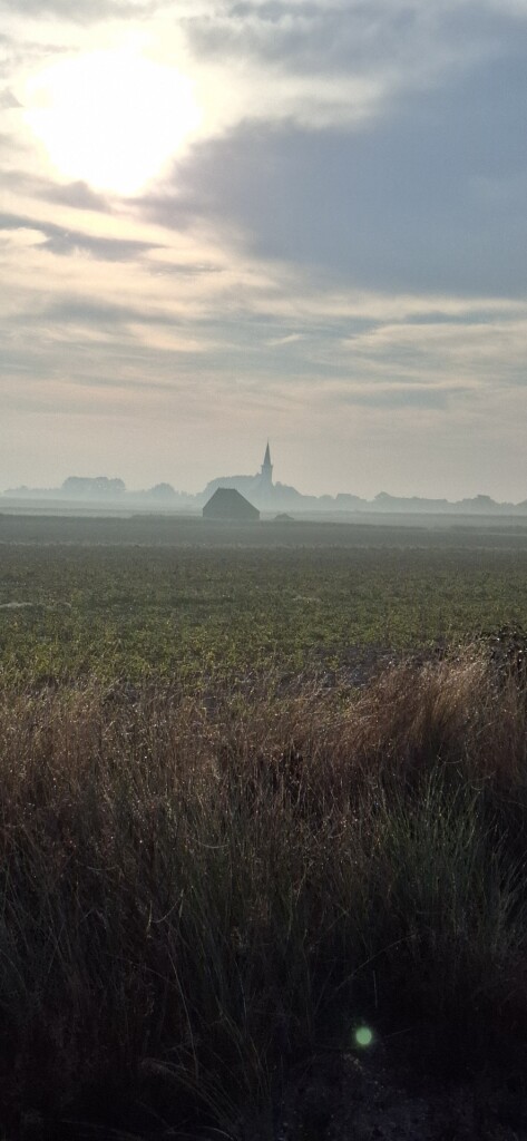 Texel 6: Dagwandeling Den Hoorn · WaddenWandelen etappe 6
