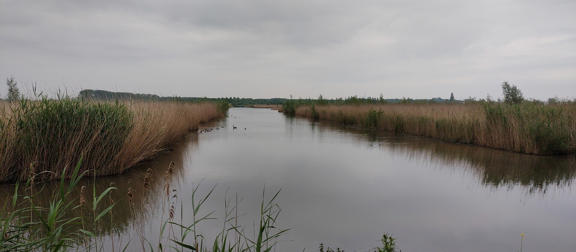 Elst - Huissen · Wegen met Zegen etappe 7