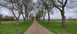 Driel - Elst · Wegen met Zegen etappe 6