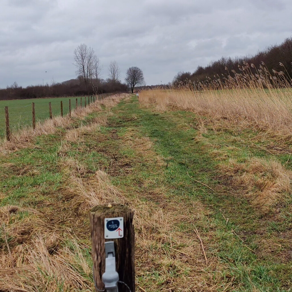 Heteren - Driel · Wegen met Zegen etappe 5