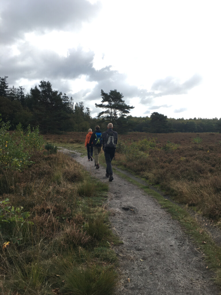 Gieten - Borger · Drenthepad etappe 12