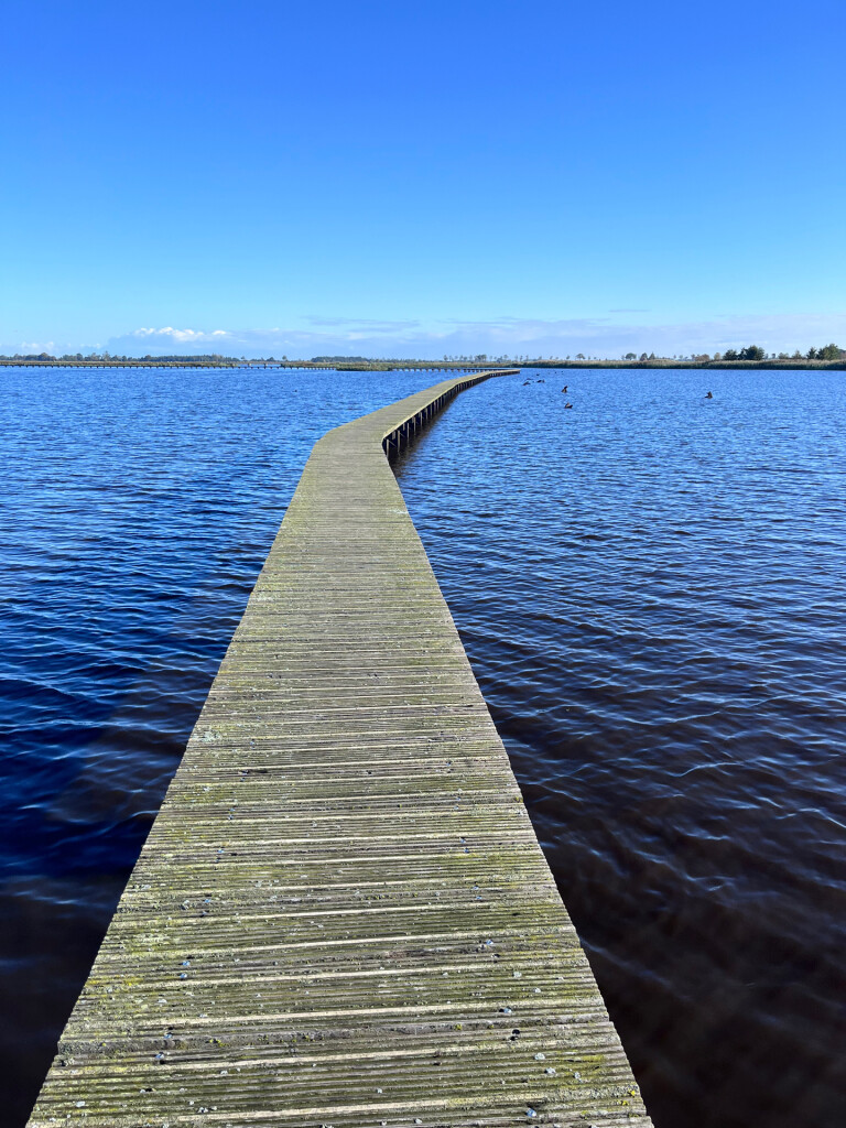 Appingedam - Kolham · Roots Natuurpad etappe 2