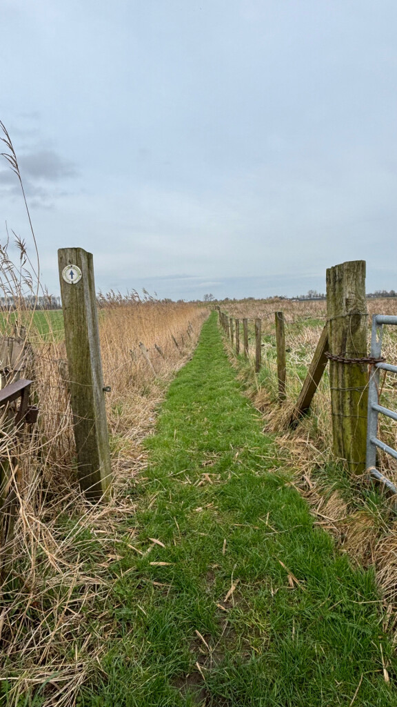 Rondwandeling (Oostwaardpad verboden voor honden) · Biesboschpad etappe 15