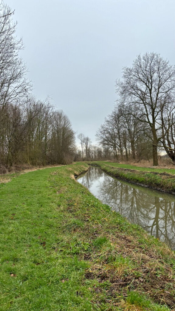 Rondwandeling (Oostwaardpad verboden voor honden) · Biesboschpad etappe 15