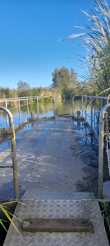 Rijnstrangenpad Zevenaar