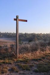 Hoornerveen - Hattem · Maarten van Rossumpad etappe 16