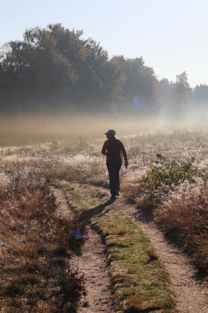 Hoornerveen - Hattem · Maarten van Rossumpad etappe 16