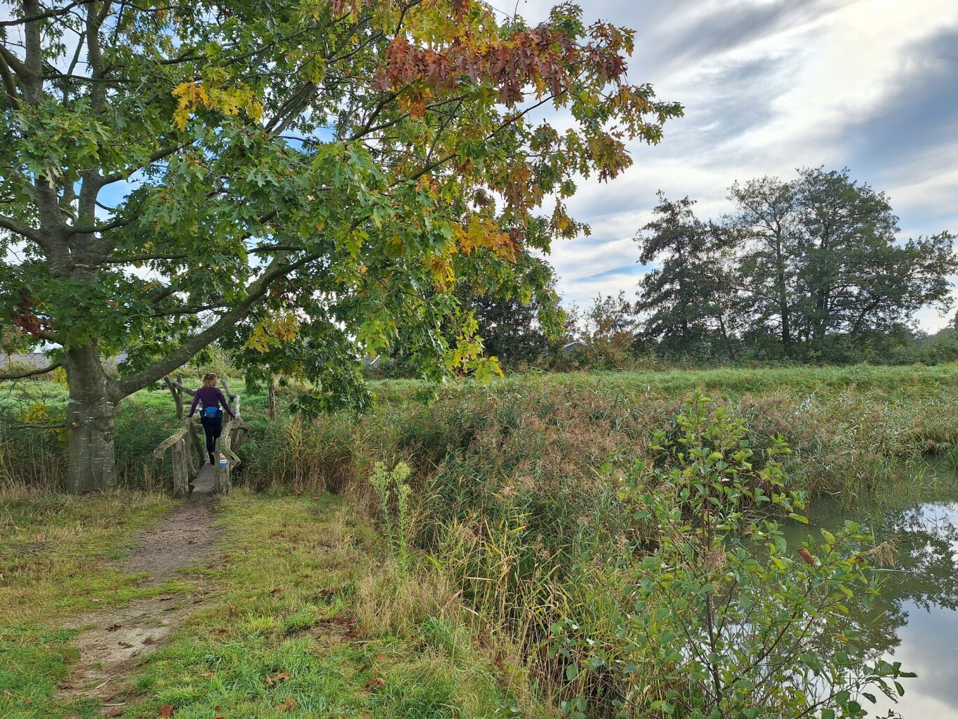 Wenum-Wiesel Kopermolenpad