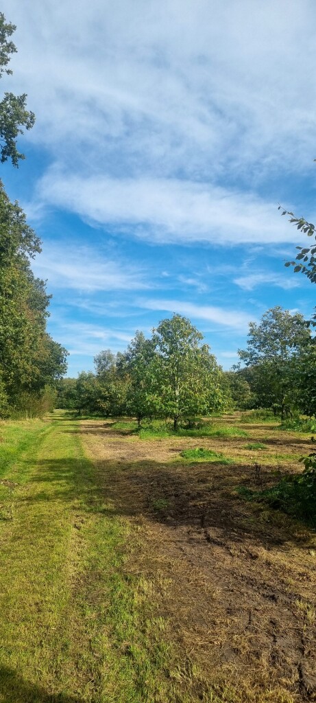 Papeloze Kerk - 't Haantje · Cultuurpad Coevorden etappe 13