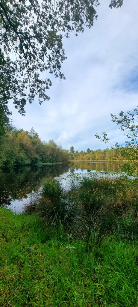 Papeloze Kerk - 't Haantje · Cultuurpad Coevorden etappe 13