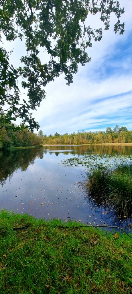 Papeloze Kerk - 't Haantje · Cultuurpad Coevorden etappe 13