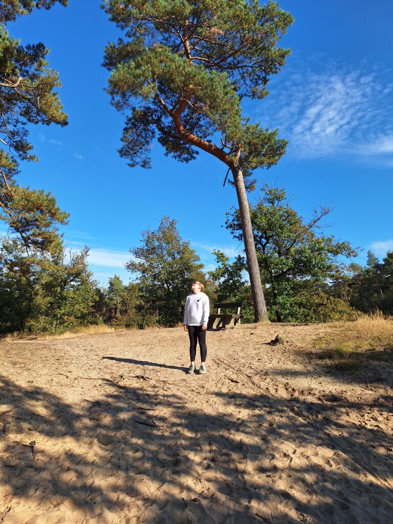 Boshuizen witte paaltjes route