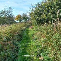 Wandelroute Oude Willem