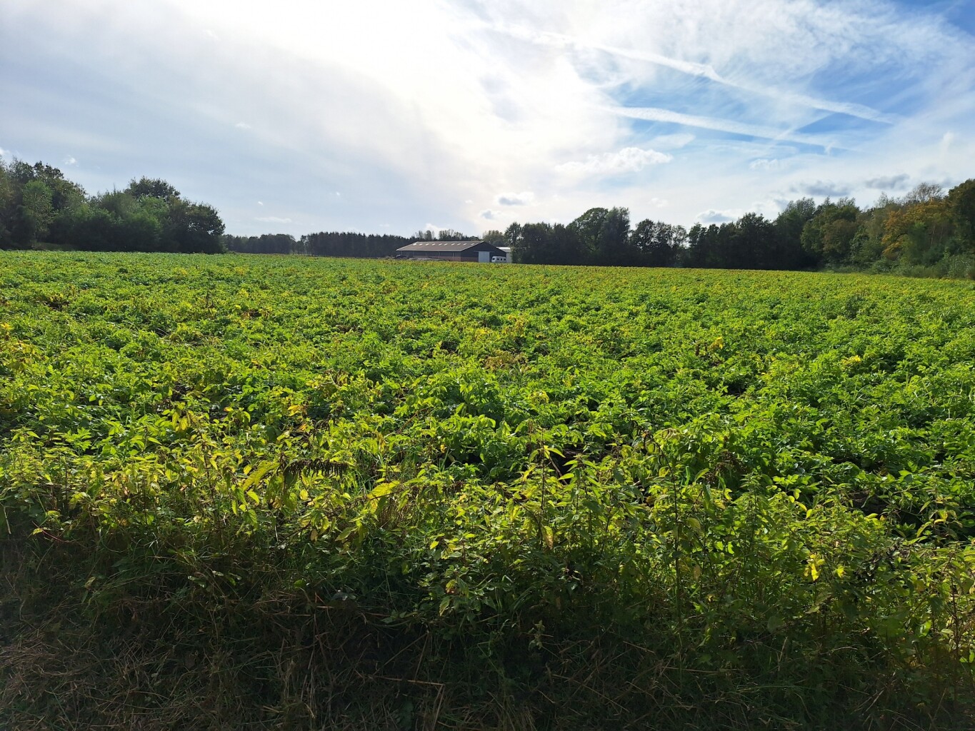 Trage tocht Boerdonk