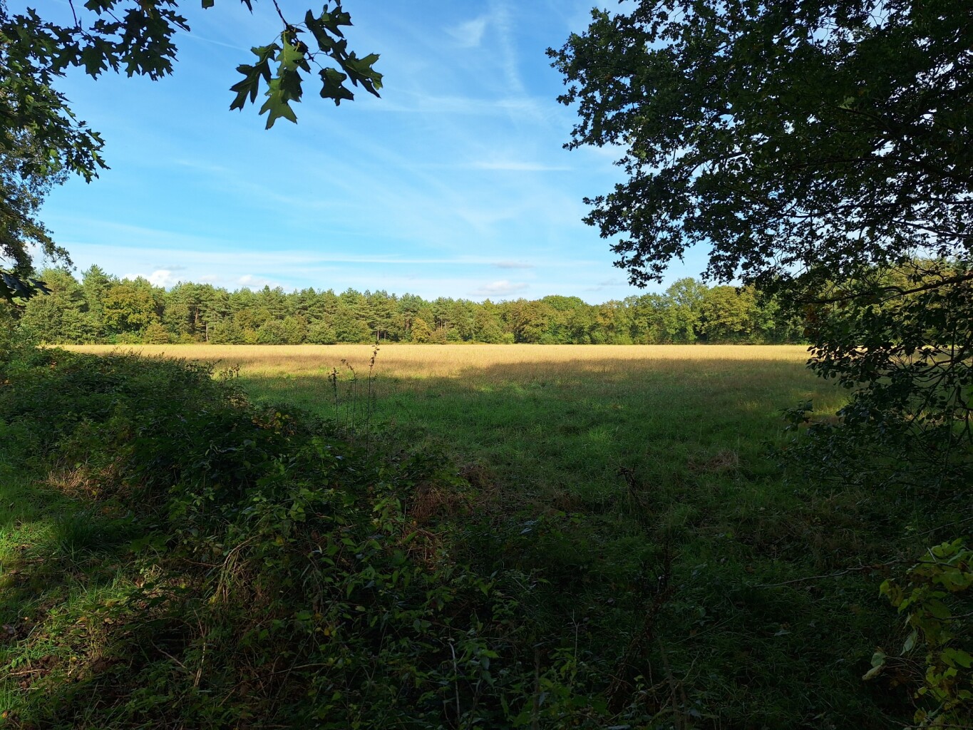 Trage tocht Boerdonk