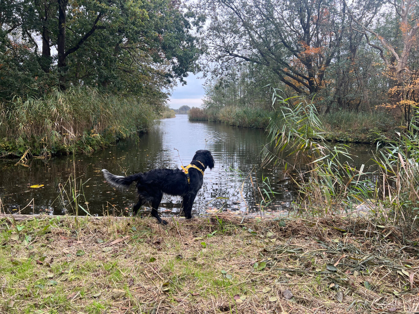 Spiegelplasroute Nederhorst Den Berg