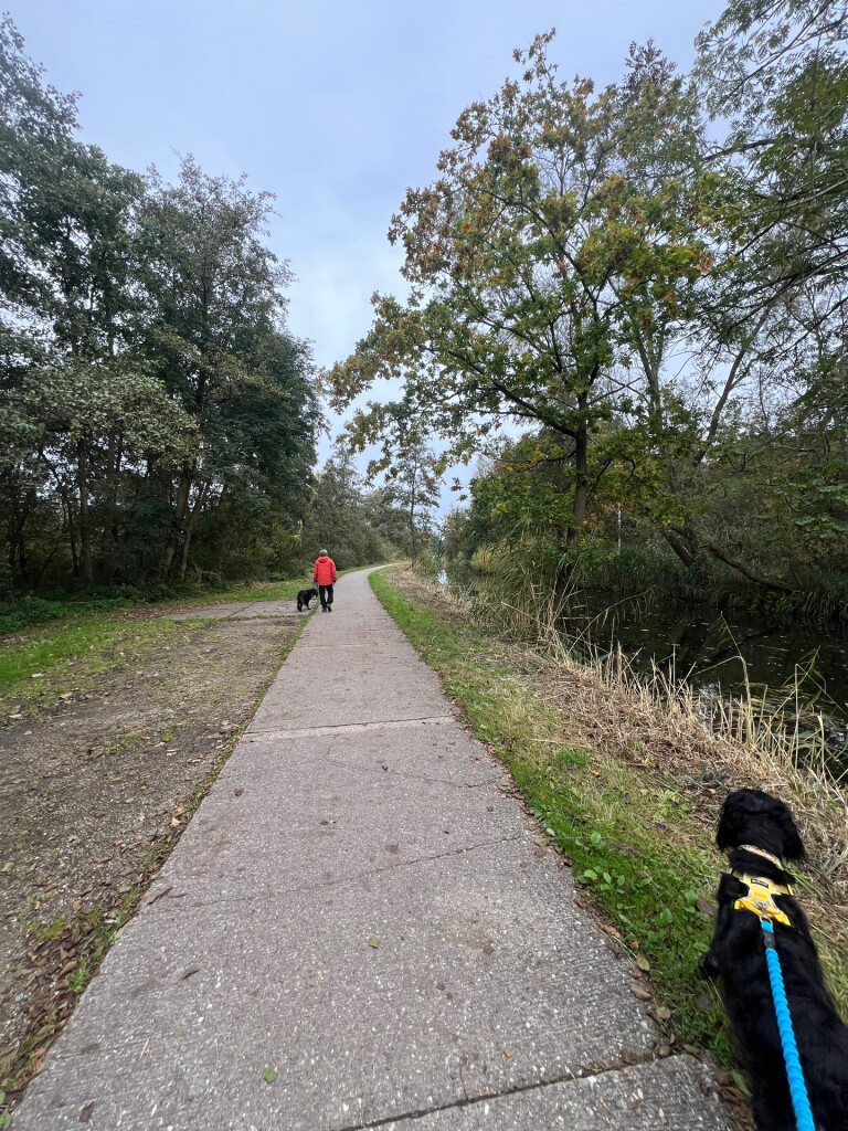Spiegelplasroute Nederhorst Den Berg
