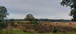 Hollandse Rading - Maarssen · Utrechtpad etappe 10