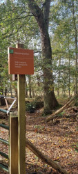 Wezuperbrug - De Kiel · Cultuurpad Coevorden etappe 10