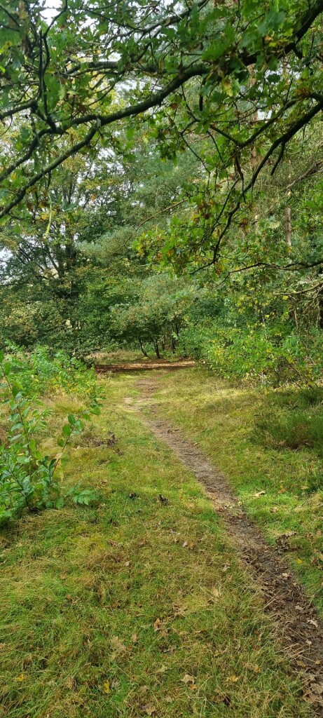 Wezuperbrug - De Kiel · Cultuurpad Coevorden etappe 10