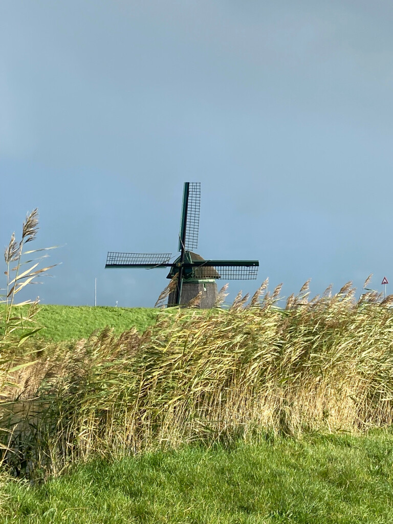 Wijdenes - Hoorn · Westfriese Omringdijk etappe 8