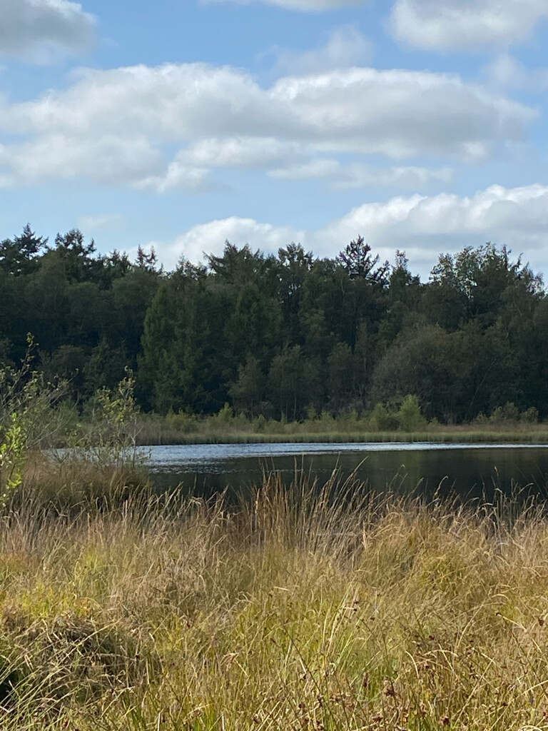 Waskemeer - Norg · Groot Frieslandpad etappe 15