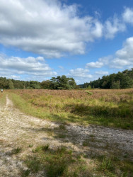 Waskemeer - Norg · Groot Frieslandpad etappe 15