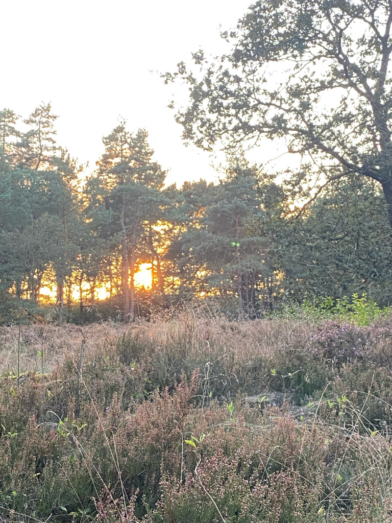 Waskemeer - Norg · Groot Frieslandpad etappe 15