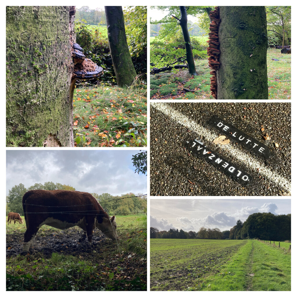 Bad Bentheim - Oldenzaal · Marskramerpad etappe 1