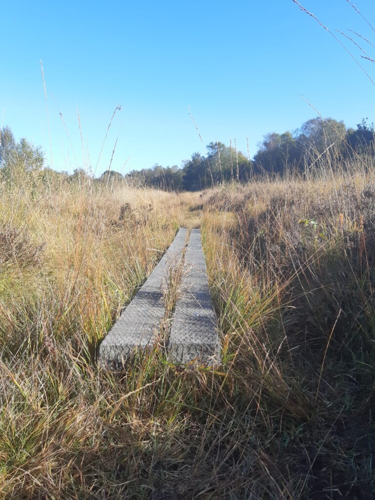 Leggelderveld - Blauwe Meer · De Ster van Dwingeloo etappe 3