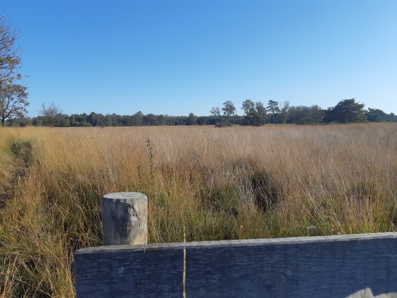 Leggelderveld - Blauwe Meer · De Ster van Dwingeloo etappe 3