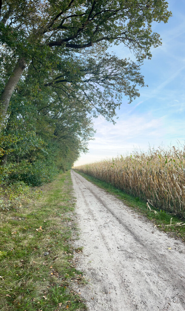 Wandelroute Noordsche Veld
