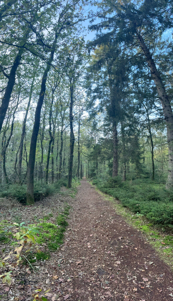 Wandelroute Noordsche Veld