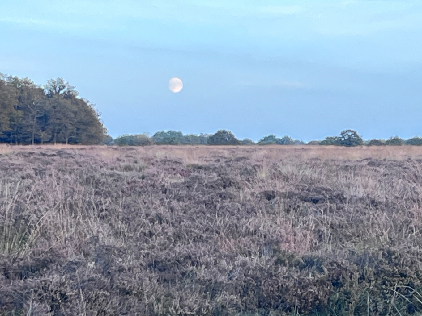 Wandelroute Noordsche Veld