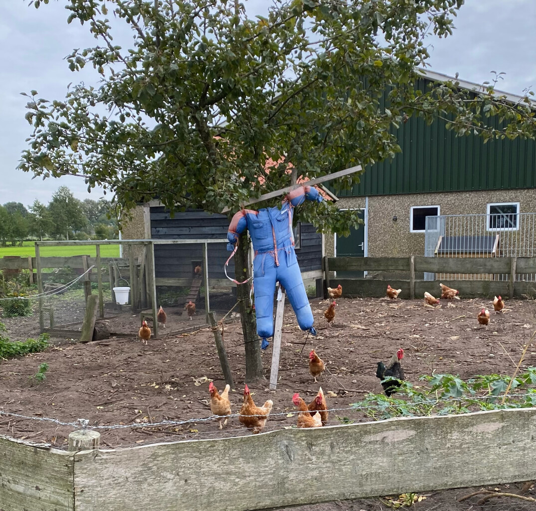 Oude Rijksweg - Blauw