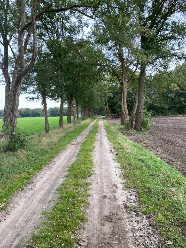 Oude Rijksweg - Blauw