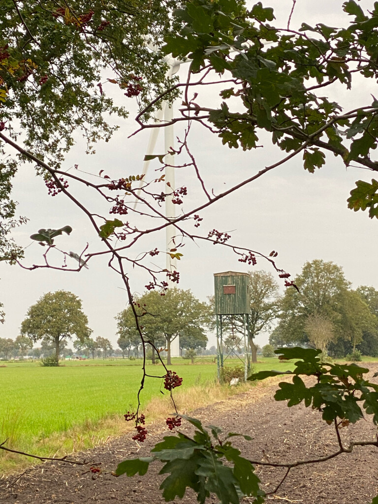 Oude Rijksweg - Blauw