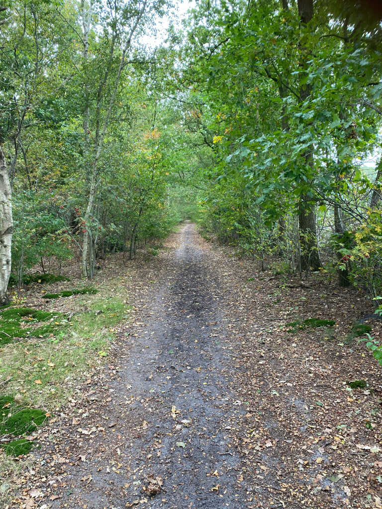 Oude Rijksweg - Blauw