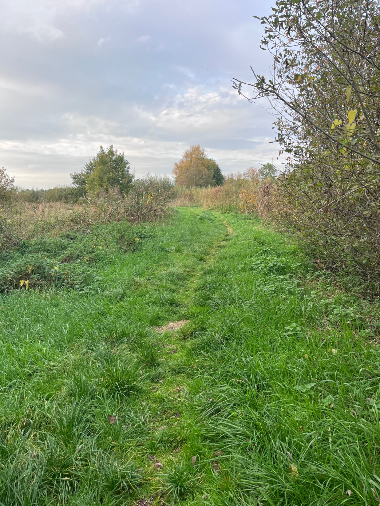 Wandelroute Westerbroek (Groningen)