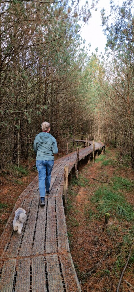 Wandelroute Boswandeling Spier
