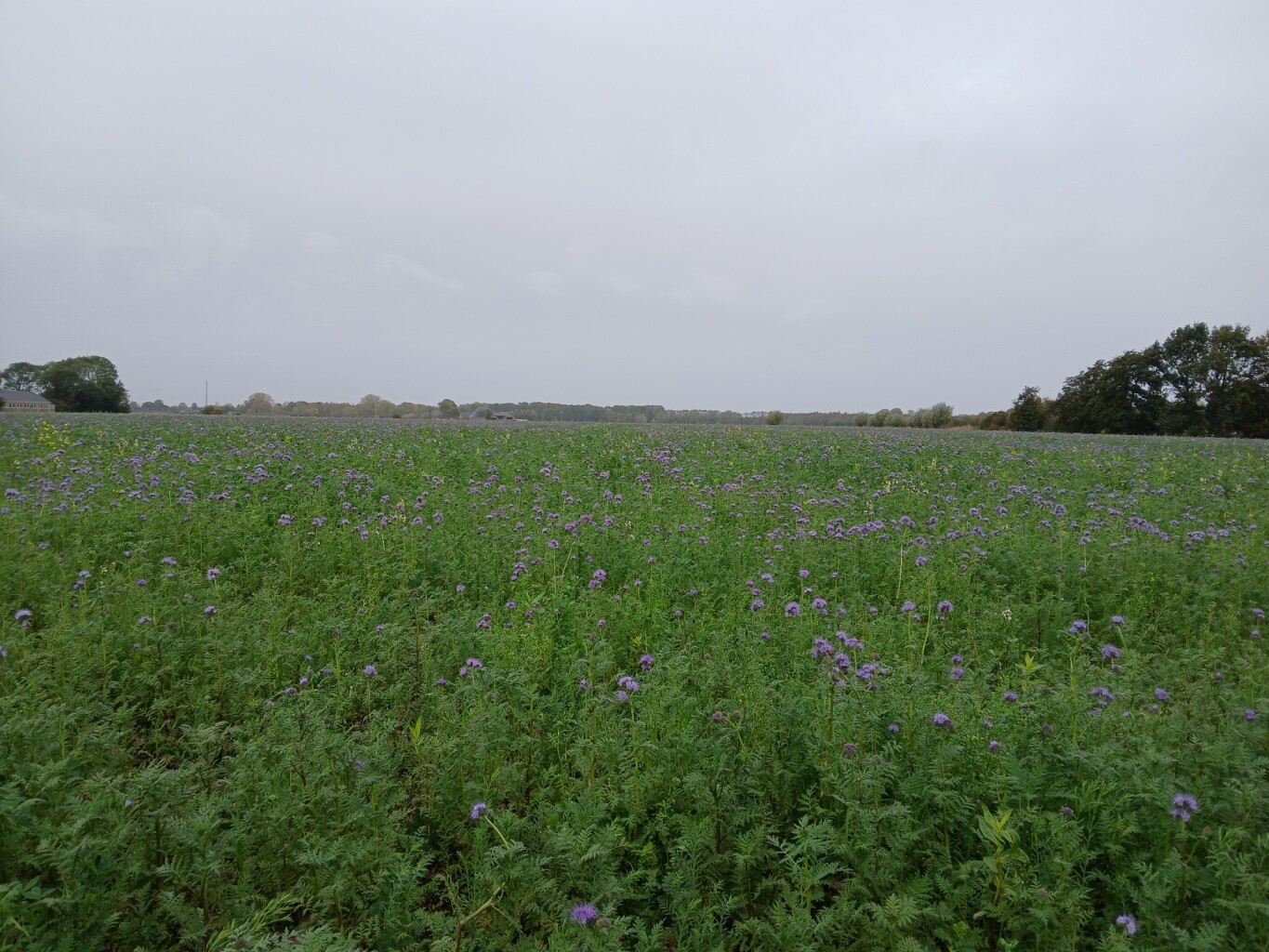 Uithuizen - Zandeweer · Groninger Borgenpad etappe 9