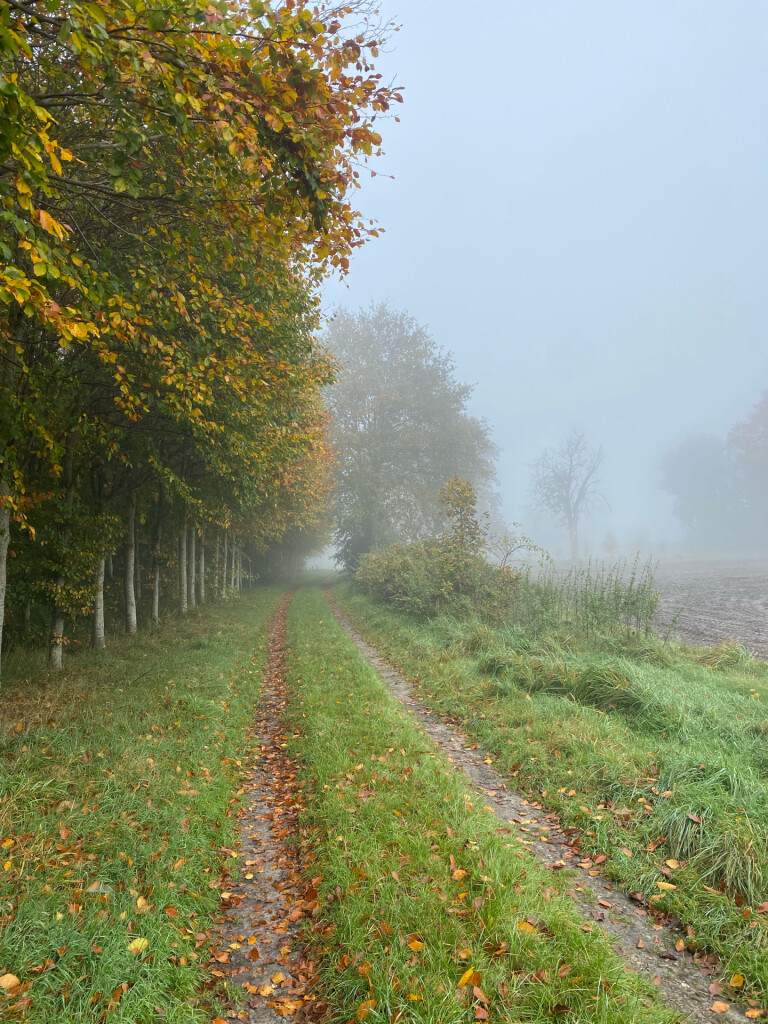Rode paaltjesroute Norg | richting Peestermaden