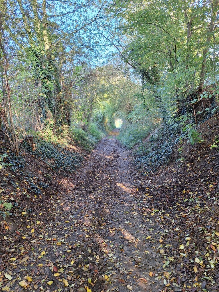 Gerendal Va18 Valkenburg aan de Geul