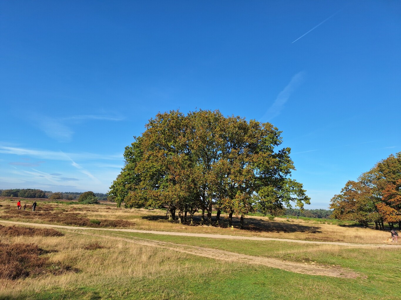 Tafelbergheideroute (oranje)